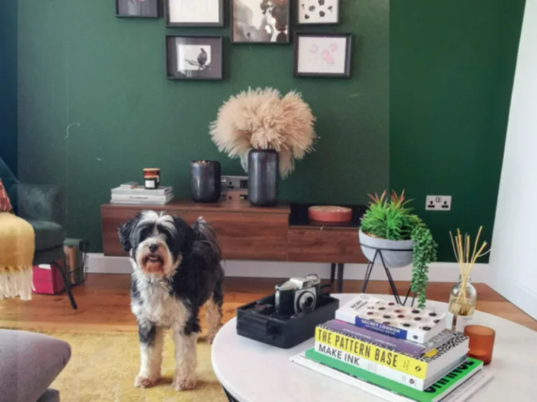 Pet-Friendly Living at Sugar House Island