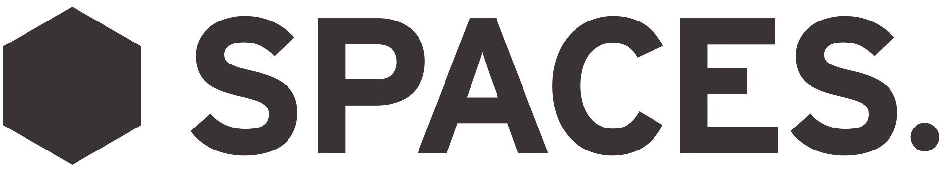 Spaces 40 Spaces logo rock RGB